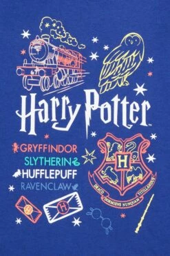 Girls Harry Potter Hedwig Hogwarts BlueLong Pyjamas W21 -pajamas shop 17D