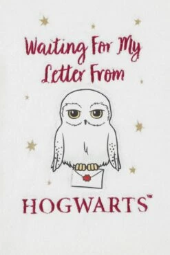 Girls Harry Potter Hedwig Hogwarts Warm Fleece Long Pyjamas 13 Girls Harry Potter Hedwig Hogwarts Warm Fleece Long Pyjamas -pajamas shop IMG 4521