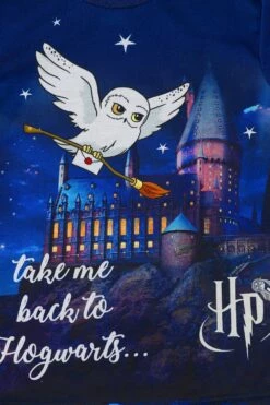 Girls Harry Potter Pyjamas Hedwig Take Me Back To Hogwarts Long Pyjamas Blue -pajamas shop PJF200923 82