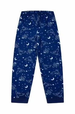 Girls Harry Potter Pyjamas Hedwig Take Me Back To Hogwarts Long Pyjamas Blue -pajamas shop PJF200923 83