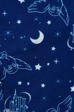 Girls Harry Potter Pyjamas Hedwig Take Me Back To Hogwarts Long Pyjamas Blue -pajamas shop PJF200923 85
