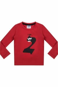 "I Am 2" Birthday Long Pyjamas 2-3 Years -pajamas shop PJF 113