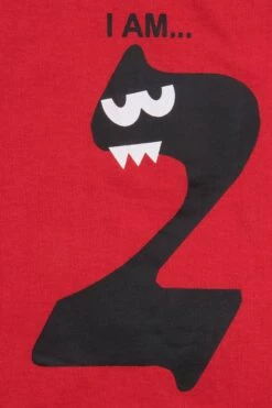 "I Am 2" Birthday Long Pyjamas 2-3 Years -pajamas shop PJF 117