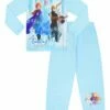 Disney Frozen 2 Pyjamas Elsa Anna Kristoff Olaf Sven -pajamas shop PJF 191112 4