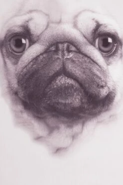 Girls 3D Pug Paw Print Long Pyjamas -pajamas shop PJF 2 a673e8d2 b537 49a7 bcb4 9090724e20d5