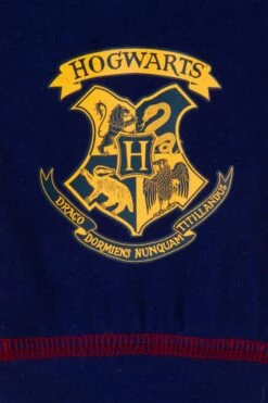 Girls Harry Potter Pyjamas -pajamas shop PJF 32 de5a8259 71fc 4ccb 8e73 9b38feef86f3